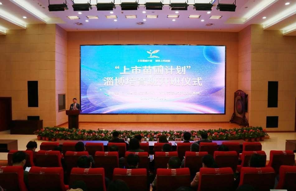 培育上市“金種子” 服務企業(yè)助發(fā)展　齊魯股交“上市苗圃計劃”再出發(fā)